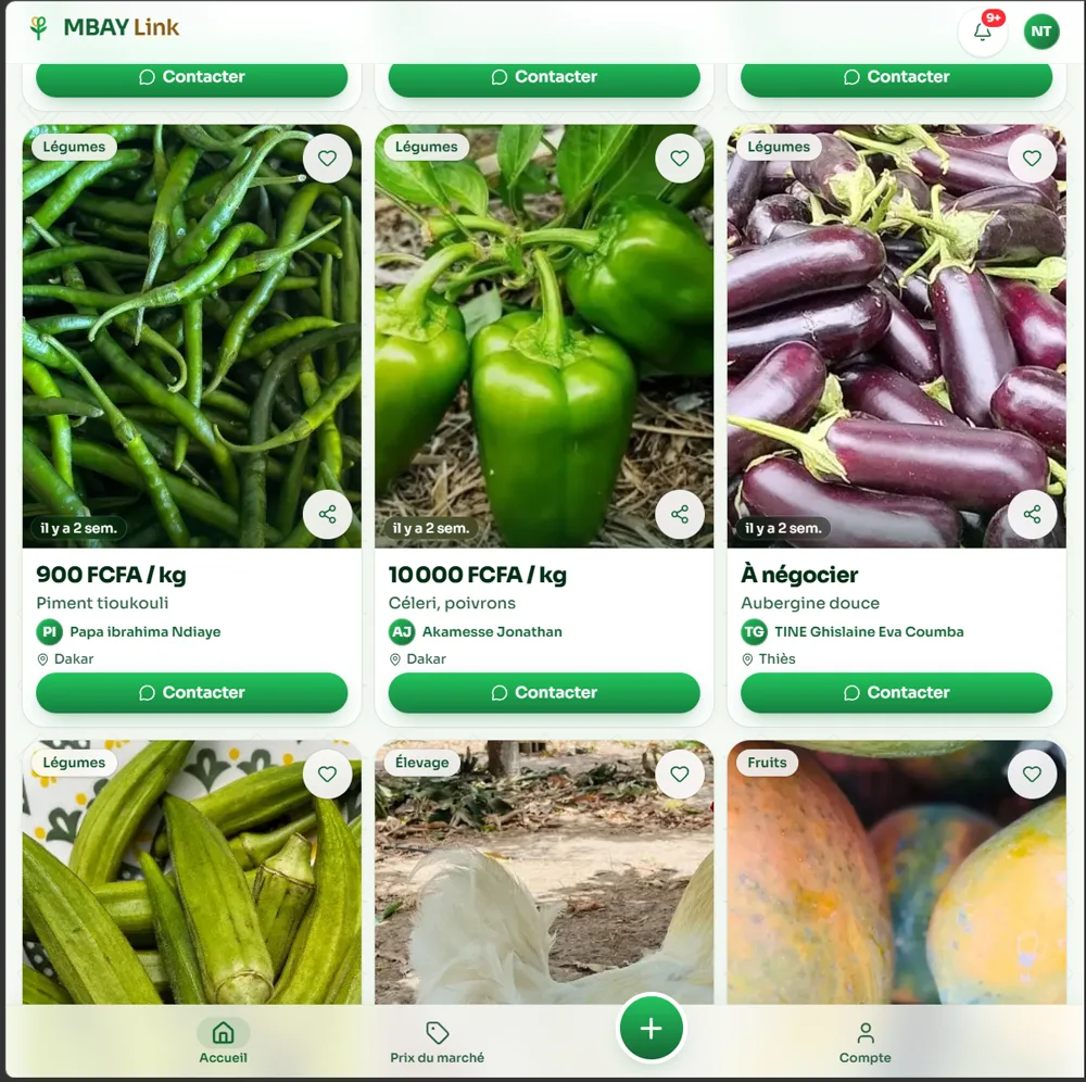 MBAY Link — annonces de fruits et légumes, vendeurs réels